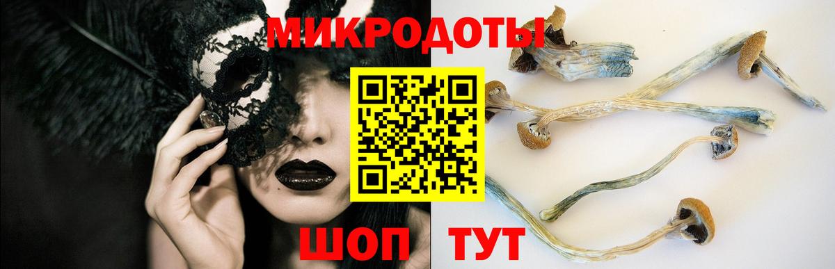 Галлюциногенные грибы GOLDEN TEACHER  Вход с VPN  где можно купить   Чапаевск 